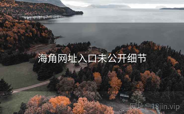 海角网址入口未公开细节