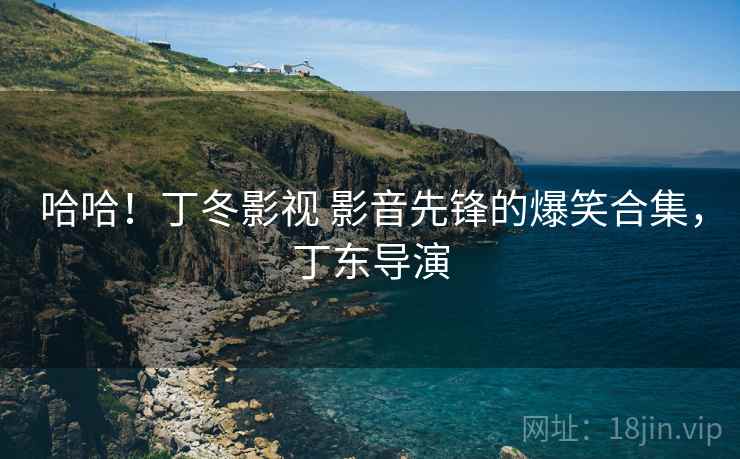 哈哈！丁冬影视 影音先锋的爆笑合集，丁东导演