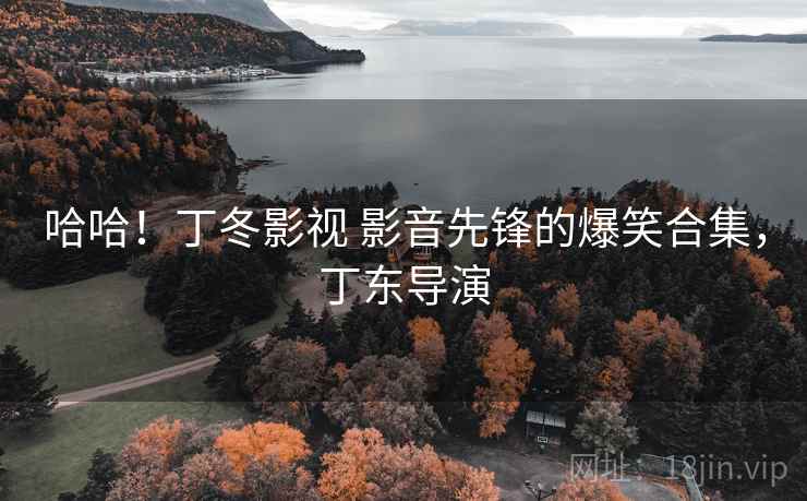 哈哈！丁冬影视 影音先锋的爆笑合集，丁东导演
